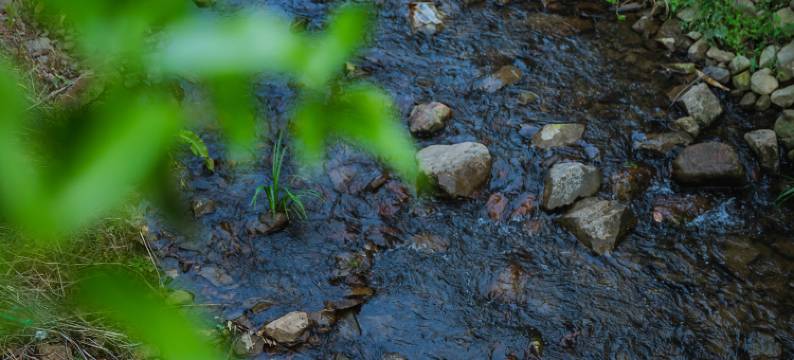 泾宿·木兮•夏日露营风溯溪亲子度假避暑氧宿图片