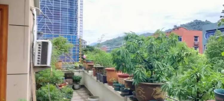 馨梦苑旅社图片