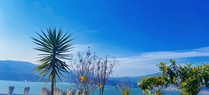 清风小筑客栈图片