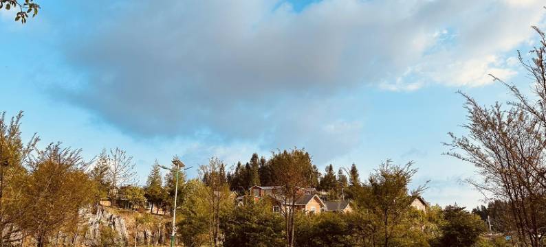 阿依林海红豆杉酒店图片