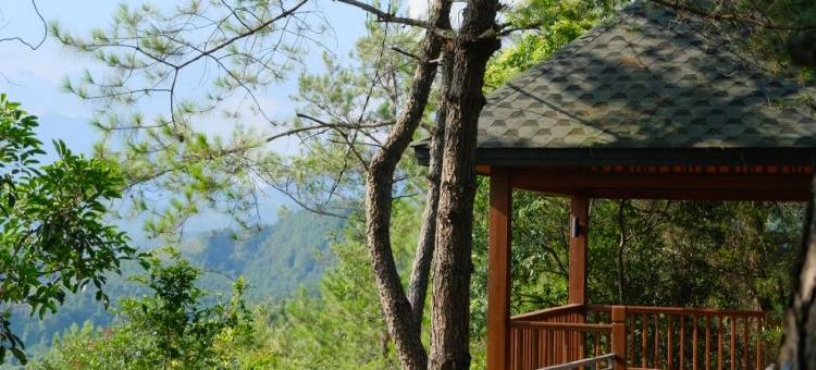 马头山森林温泉度假区图片