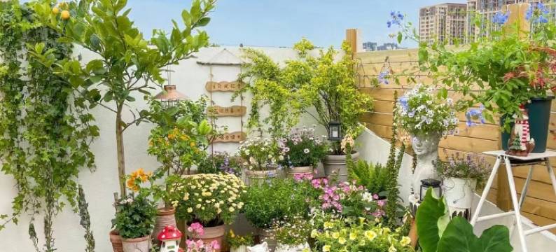 漫·悦花美宿(丽江束河古镇店)图片