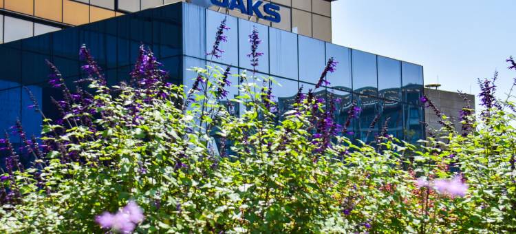 成都非遗博览园盛橡酒店图片