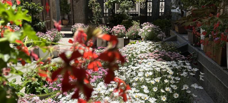 山茶半岛美宿(丽江束河古镇店)图片