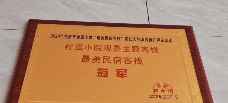 柠涩小院观景主题客栈(文成大道店)图片