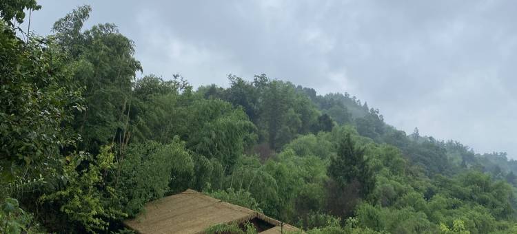 天台山伴山萤宿图片
