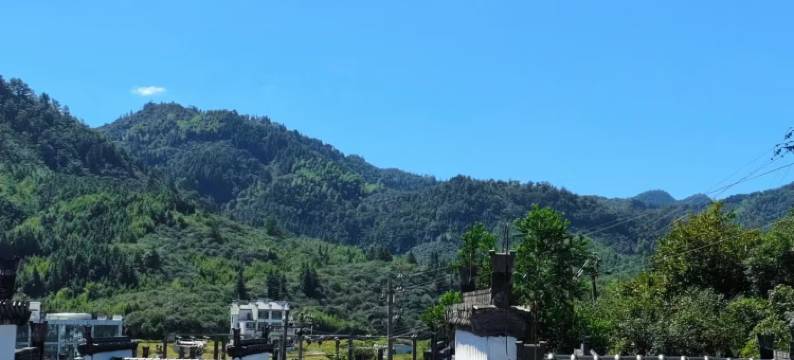 江楠别院(婺源江湾景区店)图片