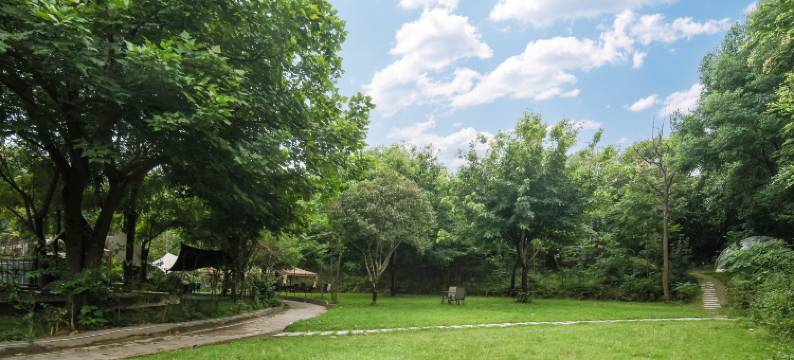 成都新界名人酒店(红牌楼太平园地铁站店)图片