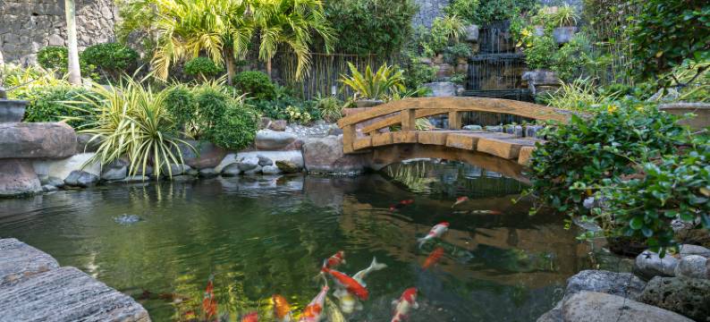 阿尼洛阿瓦瑞湾度假村(Anilao Awari Bay Resort)图片