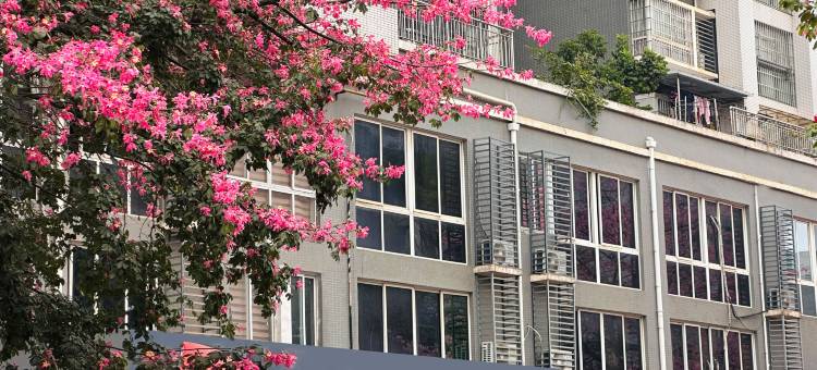 尚客优连锁酒店(柳州金福弟店)图片