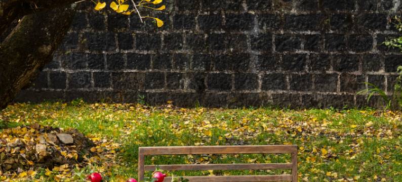 腾冲了凡精舍图片