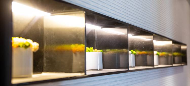 如家商旅酒店(乌鲁木齐新北园春平川路地铁站店)图片