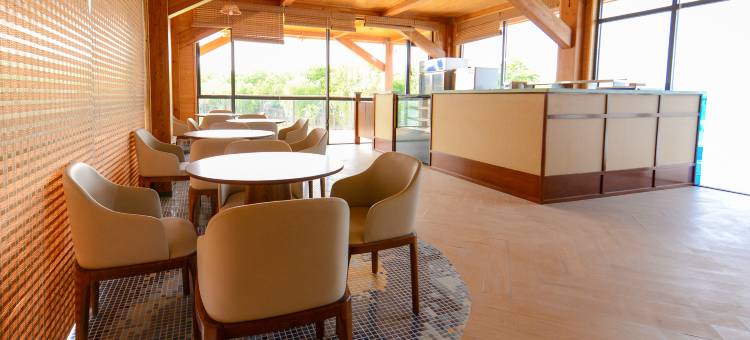 白马湖湿地酒店图片