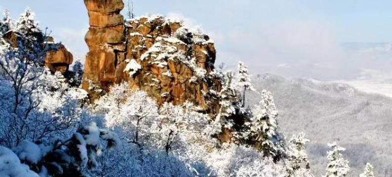 南岔华龙宾馆图片