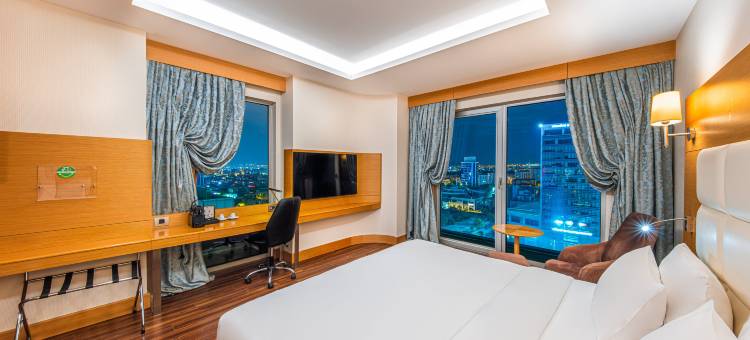 安卡拉库库姆巴尔假日酒店(Holiday Inn Ankara - Cukurambar)图片