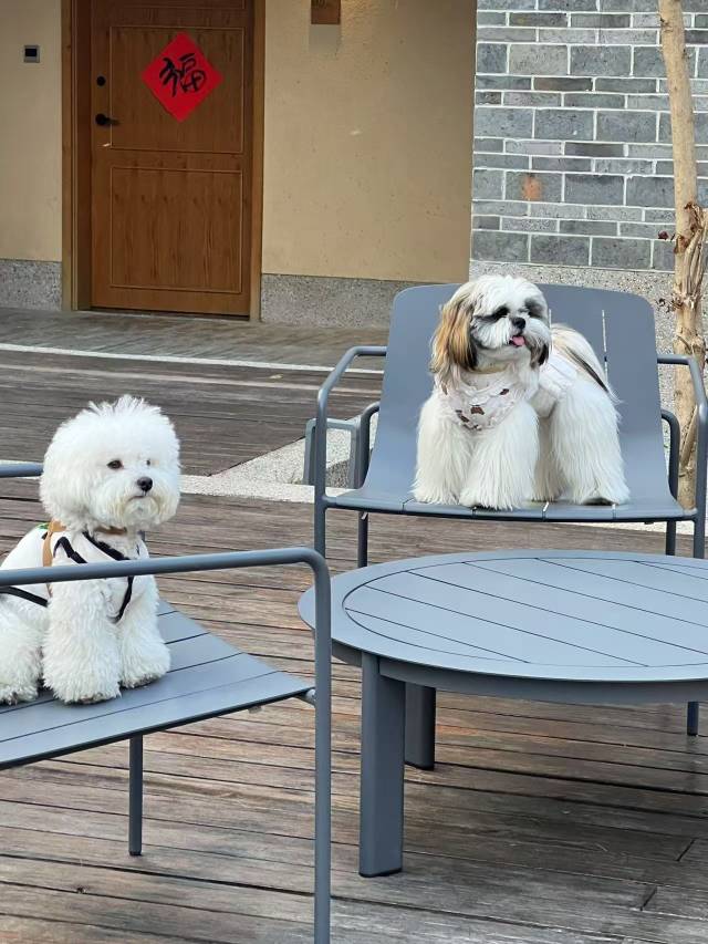 大乐之野·龙南围屋图片