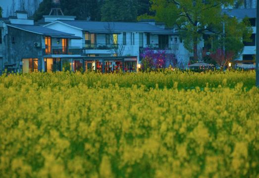 Xinxiangli Tea House HomestayOver view