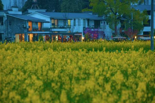 新乡里·茶室民宿