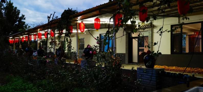 中都渔村民宿图片