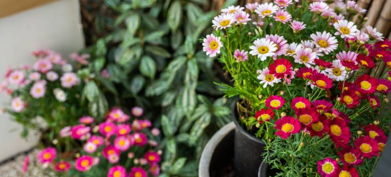 云栖小筑(苏州平江路观前街店)图片