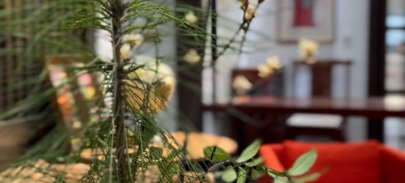 鼎世府民宿(西河古镇店)图片