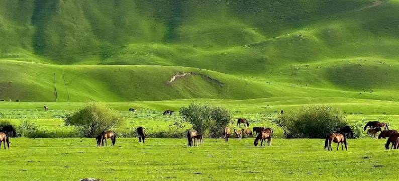 那拉提语畔民宿图片