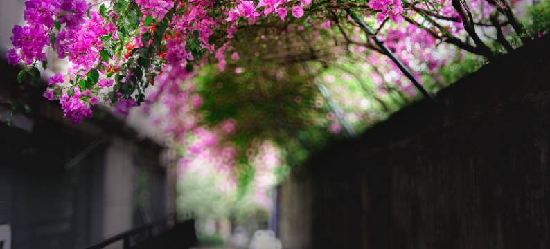 武隆鼎辉假日酒店图片