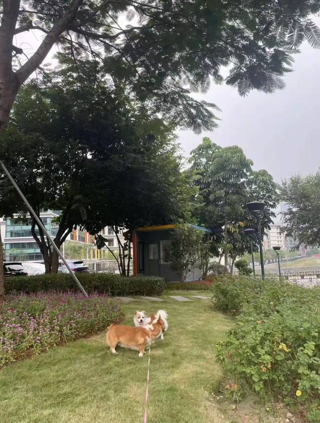花筑·尘外凡舍别墅(北戴河蔚蓝海岸店)图片