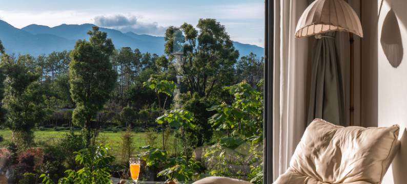 田艺·青屿Verdant Isle别墅花园美宿(大理古城店)图片