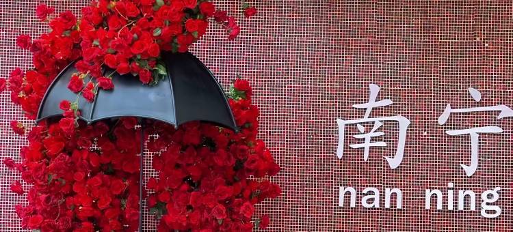 如家酒店·neo(南宁东葛路地铁站店)图片