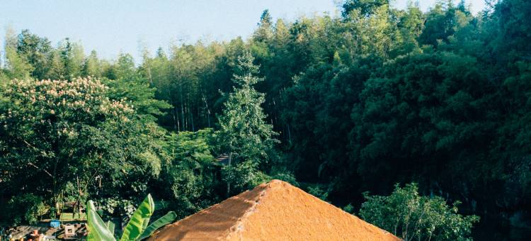 花筑·六阅茶也·枕山聆溪美宿(武夷山店)图片