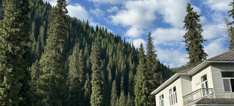 和静巩乃斯山庄图片