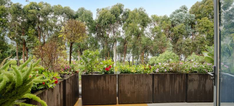 昆明半舍湖畔客栈(滇池海埂大坝店)图片