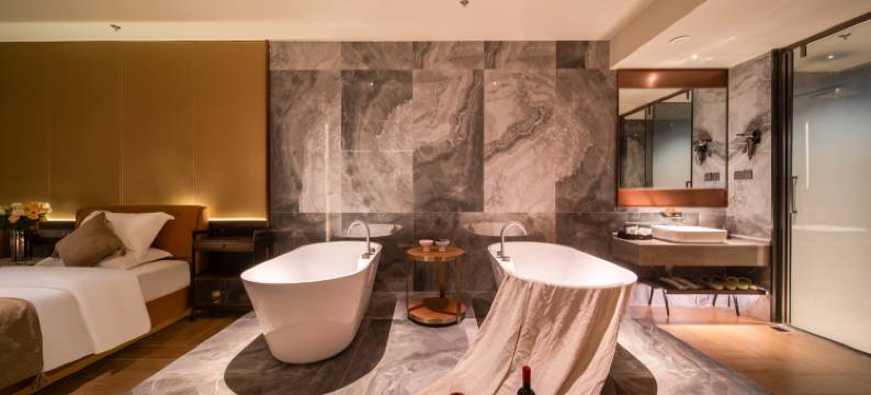 星河茗月酒店(新桥机场店)图片