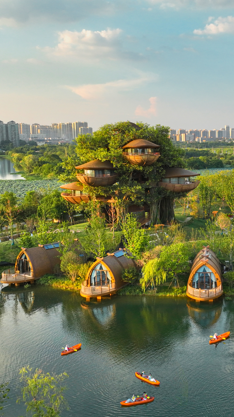 Wuhan Chengjian Senbo Nature Park & Resort Hotel Over view