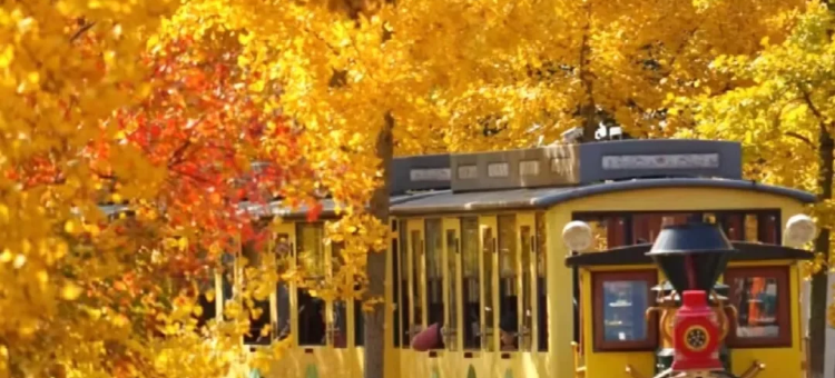 新紫金·梧桐香榭酒店(湖州长兴利时广场县政府店)图片