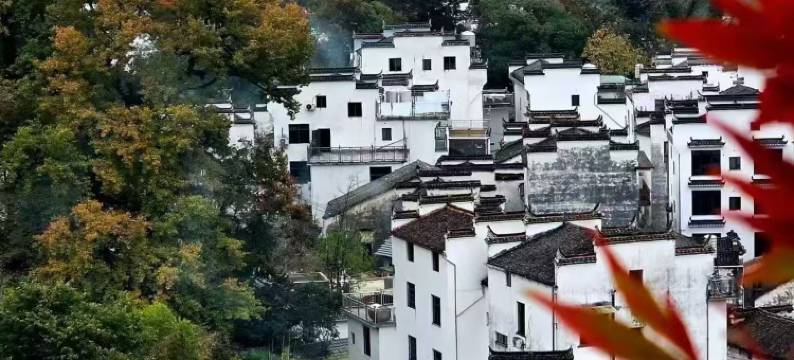 婺源石城赣东北古枫林民宿(石城红枫叶景区店)图片