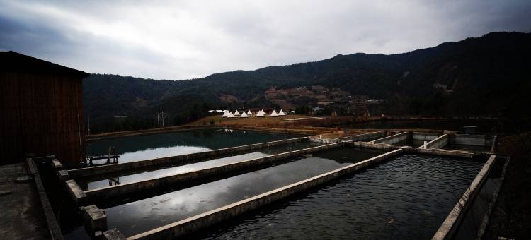 玉龙雪山日照金山途宿campsite观景营地图片