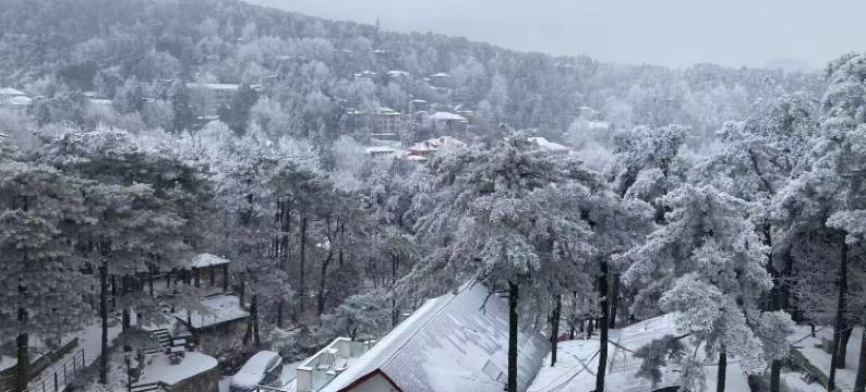 庐山高逸酒店(牯岭街索道上站台店)图片