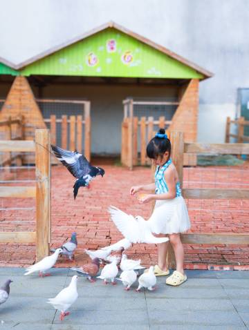 北海银滩华邑度假酒店图片