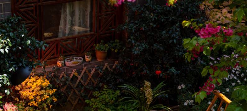 花筑月半湾·雪山屋顶Coffee·花海漫步设计美宿(丽江古城木府店)图片