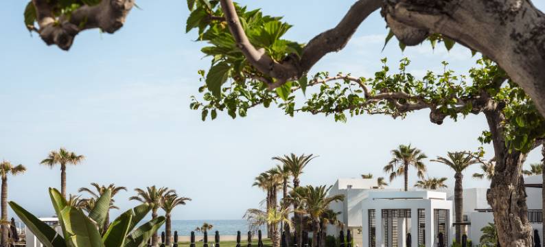 格雷科泰尔酒店-克雷塔宫(Grecotel Creta Palace)图片