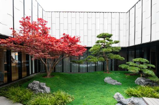 苏州丽思卡尔顿酒店图片