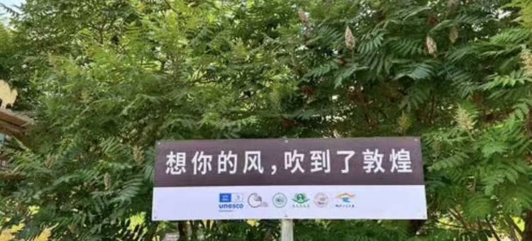 敦煌泰益客栈(莫高窟数字中心店)图片