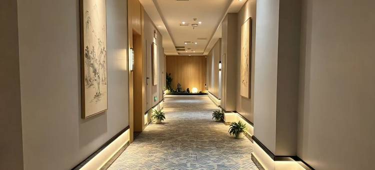 漫巢云逸酒店(阜阳万达广场宝龙广场店)图片