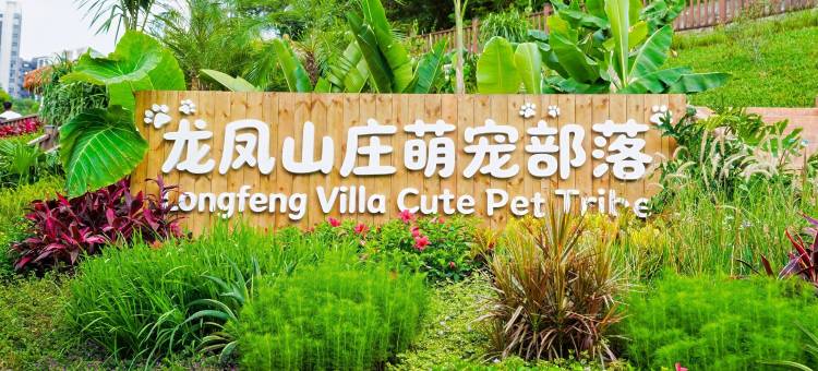 东莞嘉辉会丽呈华廷酒店(龙凤山庄店)图片
