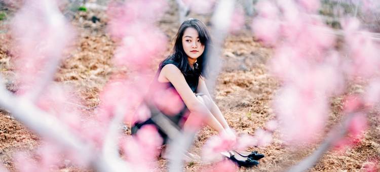 茶马道桃花谷丽世山居图片