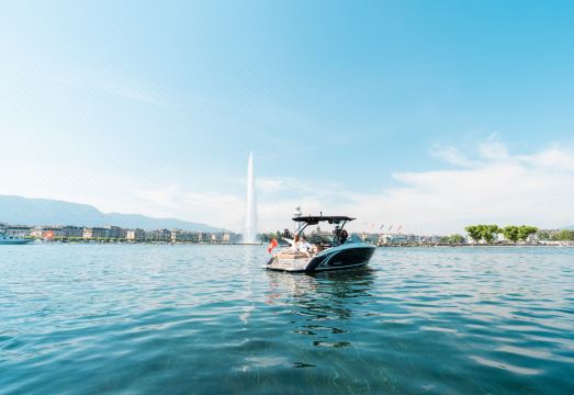 The Ritz-Carlton Hotel de la Paix, Geneva Hotel Overview