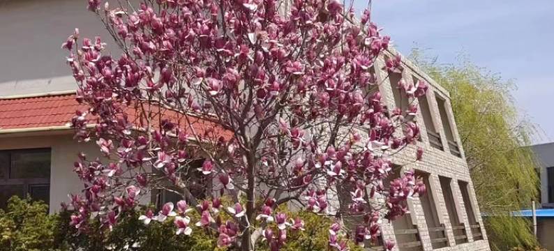 海华花园度假酒店图片