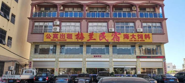 诏安梅兰民宿图片
